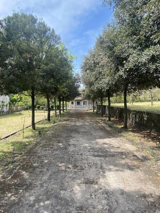 Villa Caterina, Alle Pendici Del Vulcano Etna Viagrande Buitenkant foto
