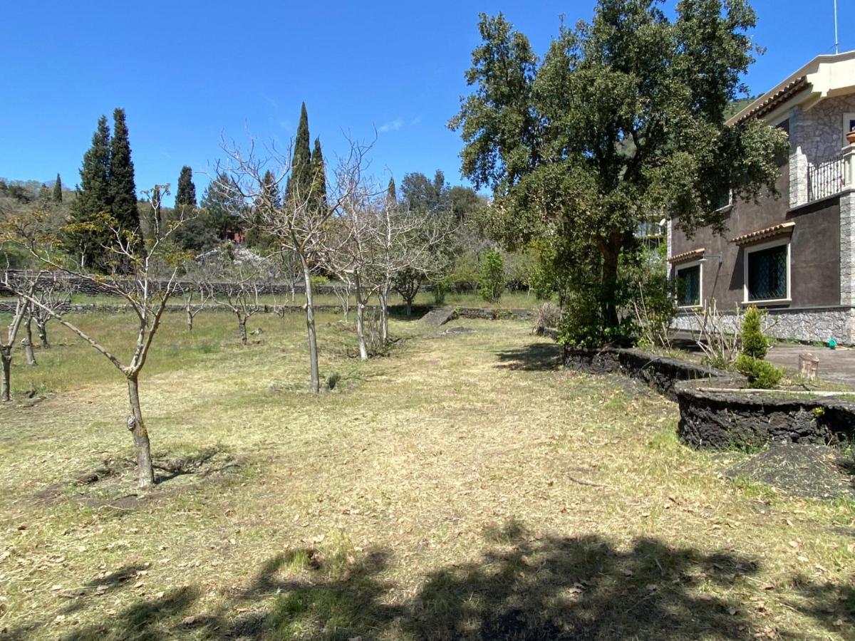 Villa Caterina, Alle Pendici Del Vulcano Etna Viagrande Buitenkant foto